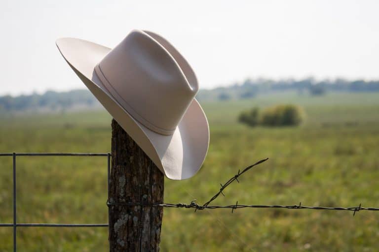 how-to-get-the-cowboy-hat-on-snapchat-itgeared